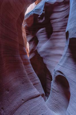 Cardiac Canyon